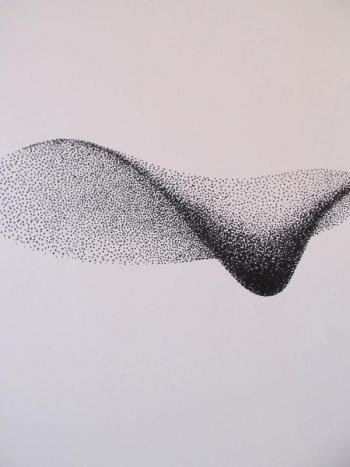 One of Kelly’s pen and ink flock of birds drawings currently on display at Chase’s Daily. Photo by Kay Stephens