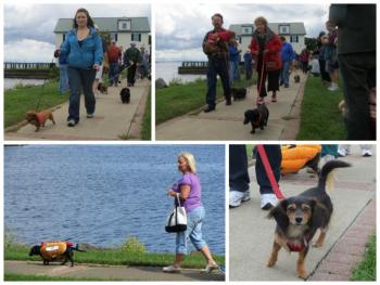 Weinerfest parade collage. (Photos by Erica Thoms)