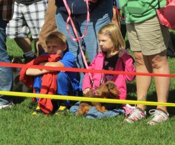 Children watch the costume contest. (Photo by Erica Thoms)