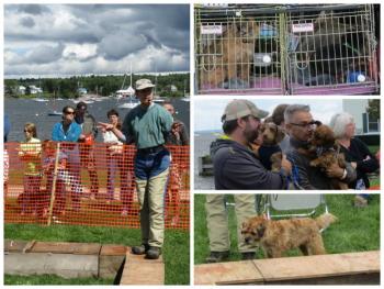 A presentation showing how Dachshunds were originally bred to find rodents.(Photos by Erica Thoms)