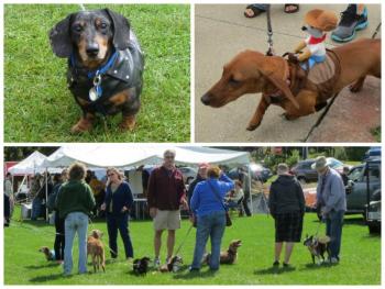 10th annual Wienerfest collage. (Photos by Erica Thoms)