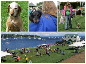10th annual Wienerfest collage. (Photos by Erica Thoms)