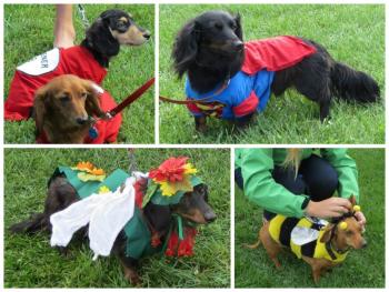 Some of the costumes on display at this year’s Wienerfest in Belfast. (Photos by Erica Thoms)