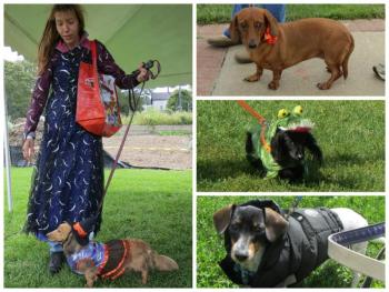 10th annual Wienerfest collage. (Photos by Erica Thoms)