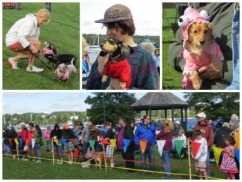 Participants line up for the costume contest. (Photos by Erica Thoms)