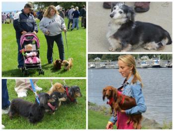 10th annual Wienerfest collage. (Photos by Erica Thoms)