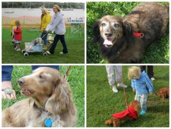 10th annual Wienerfest collage. (Photos by Erica Thoms)