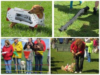 10th annual Wienerfest collage. (Photos by Erica Thoms)