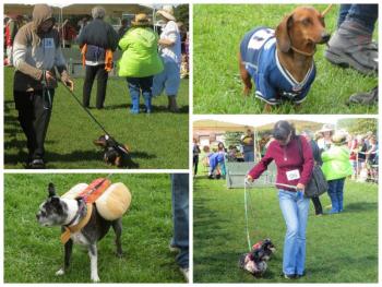 10th annual Wienerfest collage. (Photos by Erica Thoms)