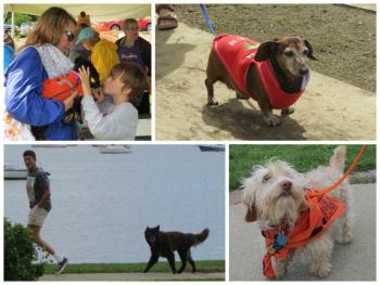 10th annual Wienerfest collage. (Photos by Erica Thoms)