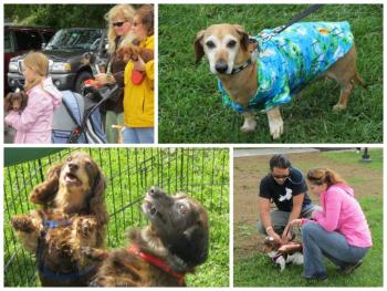 10th annual Wienerfest collage. (Photos by Erica Thoms)
