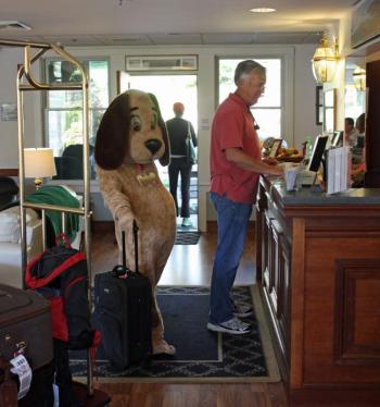 Petey, the plush P.A.W.S. puppy, waits in line to check into the Camden Riverhouse Hotel late Friday morning, and will be appearing through Camden and Rockport Saturday, Sept. 21, for the P.A.W.S. Shop for the Cause fundraiser. (Photo by Holly S. Edwards)