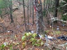 Minimal damage was reported after Rockport and Camden town officials investigated the scene. (Photo courtesy of Rockport Fire Department)