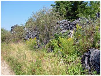 Heaps of the polyester and polypropylene material line an access road leading back into the 70-acre property. (Photo by Ethan Andrews)