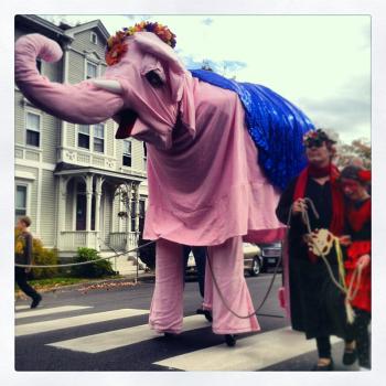 Bella, the Church Street Festival’s big pink elephant. (Photo by Ethan Andrews)