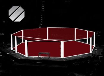 The Ultimate Fighting Championship invented the octagonal ring and later adopted the shape as a logo. Other mixed martial arts promotions have had a harder time solving the geometry of the sport. (Graphic by Ethan Andrews)