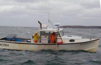 Matt Weber lobstering on his F/V Seldom Seen. (Courtesy Monhegan Brewing Company)
