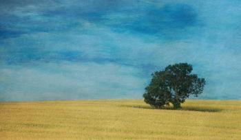 Lonesome ME Photography Show