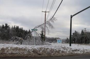 Another branch lays on a power line at the intersection of Lincolnville Avenue and Route 1 in Belfast. 