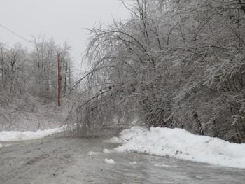 Trees create icicle curtains across Eagle Drive in Northport.