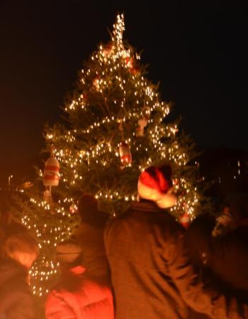 The Christmas tree at Marine Park is lit at 5 p.m. (Photo by Lynda Clancy)