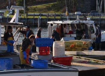 Late in November, Rockport lobstermen are hauling some of their traps, making way for the winter season. A few will maintain traps closer to shore throughout the colder months but most will transport their traps home to yards on the back of trailers and trucks. (Photo by Lynda Clancy) rockport lobster boats maine