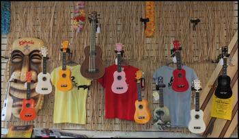 Ukuleles at K2 Music, in Camden. (Photo by Chris Wolf)