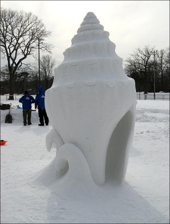 ‘Shell-agance’ by Karen and Steve Seymour and Doug Roncarati.