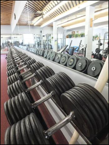 Dumbbells all in a row.