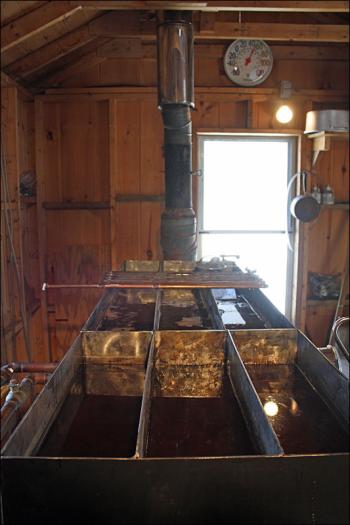 The sap in his extractor is the last bit of liquid he could pull out of his 300-gallon storage container, before the bulk froze solid. (Photo by Holly S. Edwards)