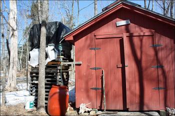 This 300-gallon container of sap is about 3/4-full and frozen solid at Tom Cox’s sugarhouse in Rockport. (Photo by Holly S. Edwards)