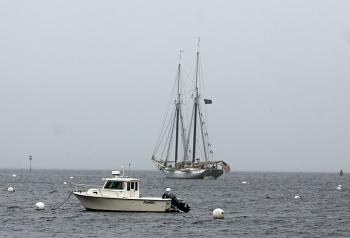And away they go! (Photo by Holly S. Edwards)