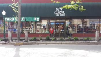 The Grasshopper Store in downtown Rockland gets a face lift with landscaping. (Photo by Ron Hawkes)