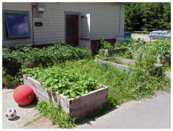 Belfast Area Children’s Center, sister school to Starrett Children’s Center, installed these high, raised planters last year over an existing garden plot. (Photo by Ethan Andrews)