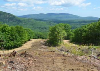 The view down the mountain July 9. (Photo by Lynda Clancy)
