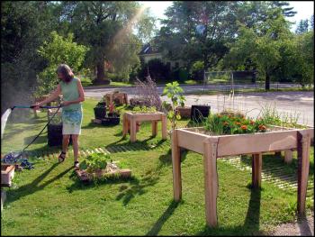 Starrett Children’s Center Director Linda Stec waters vegetables and flowers at the Belfast preschool’s new “accessible” garden. The elevated planters were designed to accommodate people with physical disabilities, but Stec said the varying heights have attracted the interest of a much broader group. (Photo by Ethan Andrews)