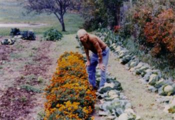 Joe worked in his garden every day, 1980
Photo courtesy Lincolnville Historical Society Joe Nickerson