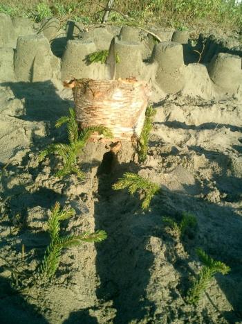 sand castle