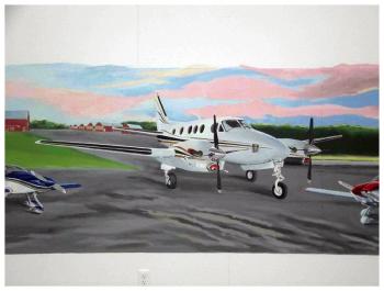 The airplane belonging to Michael Sobota, who commissioned the mural inside his hangar at Belfast Municipal Airport. (Photo courtesy of David Hurley)