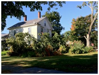 A large branch of a tree lies in the yard of a house on Miller Street, Tuesday morning. (Photo by Ethan Andrews)