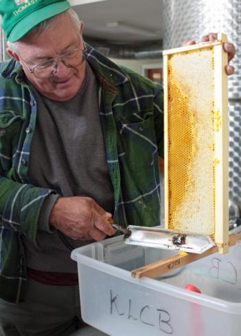 KLCB Board Member Peter Lammert demonstrates using a heated knife to melt the wax cappings on the honey frame. (Photo by Holly S. Edwards)