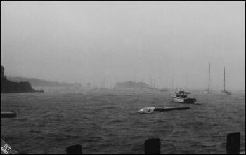 Hurricane waters. (Photo by Barbara F. Dyer)