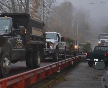 Lining up for the deposit of greens, Nov. 12. (Photo by Lynda Clancy)