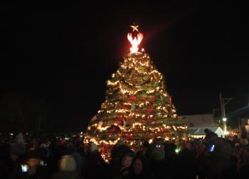 Lobster trap Tree 2014.