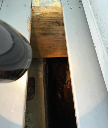 Lucy, the Jack Russell terrier, can be seen in the dark hole below the deck Monday, when she chased a fox under the deck and both fell in and became trapped. (Photo by Holly S. Edwards)