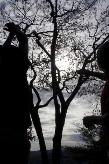 Tristan had just rejoined us in Salisbury Conn., after going to Vermont to see family. We were excited to have him back on the trail, and the first few miles of hiking brought us to Billy's View, where this picture of Aidan, and Tristan was taken. (Photo courtesy Devon Gordon)