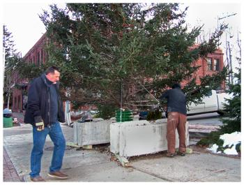 Belfast Parks and Recreation Director Norman Poirier, left, and City Councilor Mike Hurley make adjustments to the provisional holiday tree on Dec. 2. (Photo by Ethan Andrews)