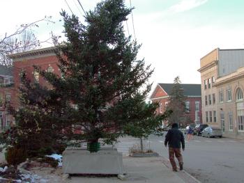 Workers installed a cut pine in Post Office Square Monday to serve as a temporary centerpiece for downtown holiday events. The large evergreen in front of City Hall, traditionally decorated with lights and topped with a star, background right, was damaged in the Nov. 2 snowstorm. (Photo by Ethan Andrews)