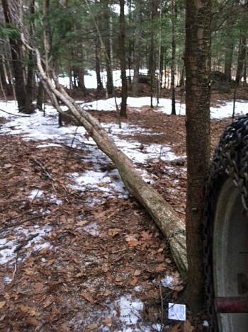 (Courtesy Maine State Police)
