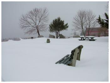 Heritage Park on the Belfast waterfront. (Photo by Ethan Andrews)